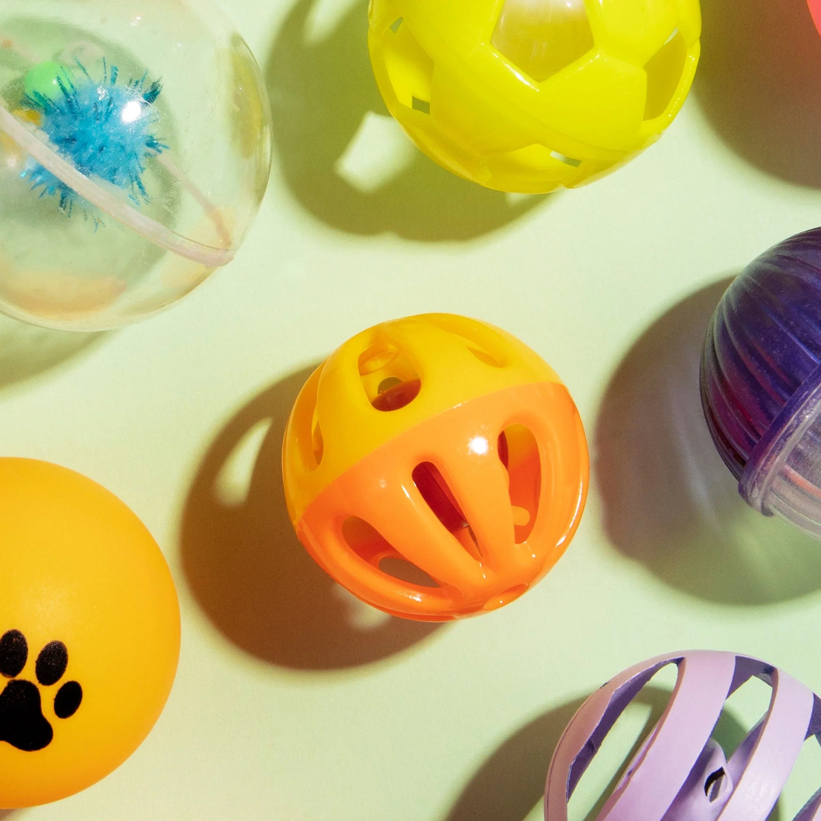 Pet Supplies