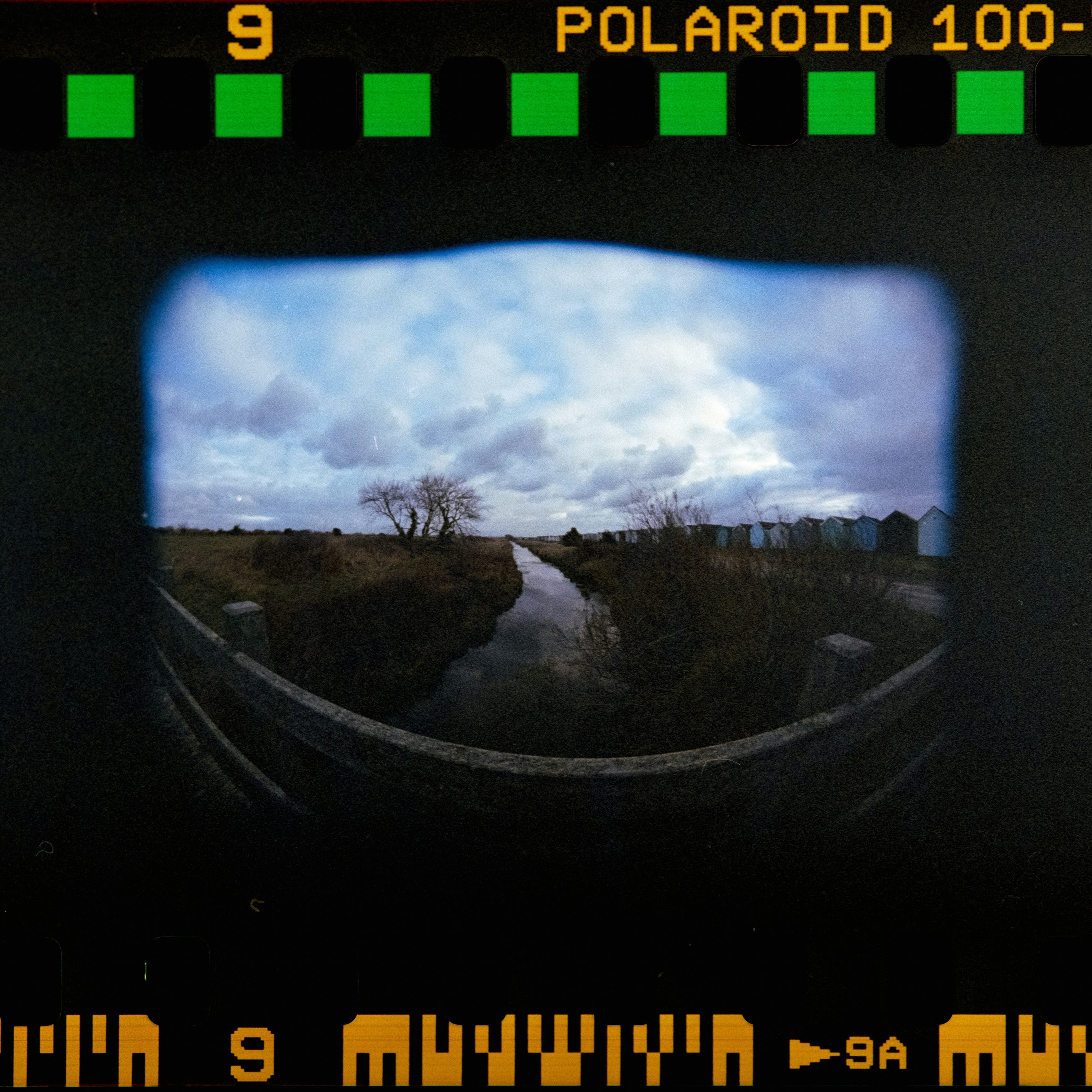Trail Camera